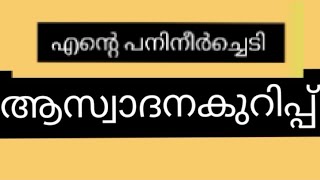 CLASS 4 MALAYALAM WORKSHEET എന്റെ പനിനീർച്ചെടി ആസ്വാദനക്കുറിപ്പ് [upl. by Dale392]