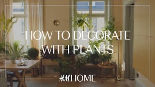 Decorate with plants 4 indoor gardening ideas [upl. by Laird521]