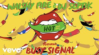 Busy Signal Walshy Fire DJ Septik  Hot Bam Bam [upl. by Lizette]