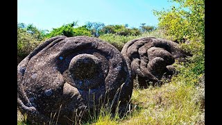 Do these Trovant Rocks really Grow [upl. by Airasor]