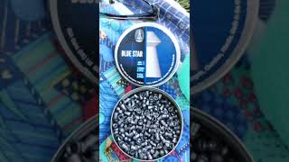 Norica Spider GRS  BSA Blue Star pellets 45mm 177cal [upl. by Ear272]