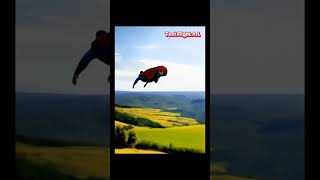 Test flight Ai goodvibes superman ai [upl. by Gnoud]