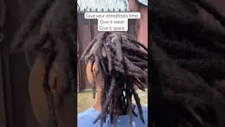 Best interlocked looking dreadlocks😍 locs dreadlocks [upl. by Cochran]