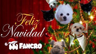 Jingle Bells Navidad  Cover Animales [upl. by Seedman580]