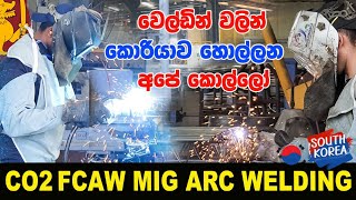 Korean exam srilanka  කොරියන් වෙල්ඩින්  CO2FCAW welding factory 🇰🇷 [upl. by Bak245]