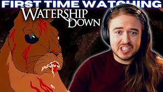 MOST SHOCKING CARTOON Watership Down 1978 Reaction Commentary FIRST TIME WATCHING [upl. by Bradleigh]