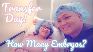 EMBRYO TRANSFER DAY How Many Embryos  IVF JOURNEY ROUND 2 [upl. by Melany690]