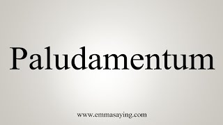 How To Say Paludamentum [upl. by Yerfoeg]