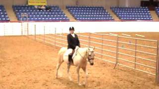 Fort Worth Chisholm Challenge Horseshow 2010 [upl. by Corin]