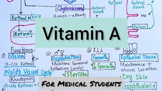 VitaminA  Absorption Transport Function Deficiency Manifestations amp Therapeutic Use [upl. by Ytsirhk]