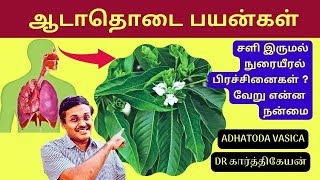 ஆடாதொடை இலை மருத்துவ குணம்  home remedies for cough adhatoda leaf  Doctor Karthikeyan [upl. by Arreis]