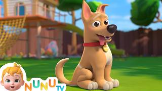 My Dog Song  Bingo  Toddler Songs amp Nursery Rhymes  NuNu Tv Kids Songs [upl. by Dukey]