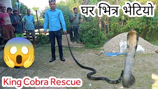 🐍 😱 King Cobra snake rescue in Nepal  पहिलो चोटी भेटियो यति ठूलो किंग कोब्रा सर्प [upl. by Samaria574]