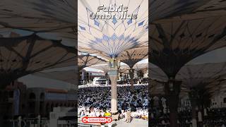 Haram Plaza Umbrellas Saudi Arabia ll Telugu Facts ll TOT FACTS [upl. by Oremodlab926]