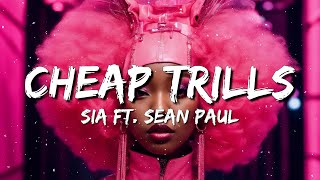 Sia ft Sean Paul  Cheap Trills Lyrics [upl. by Quartet]