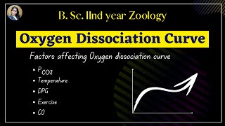 Oxygen Dissociation Curve of Haemoglobin II Factors affecting oxygen dissociation curve II Zoology [upl. by Adnwahsor206]