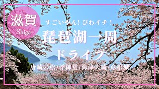 【滋賀】琵琶湖一周（ビワイチ）ドライブ♪〜唐崎の松浮御堂海津大崎彦根城〜 [upl. by Norina]