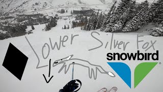 Lower Silver Fox Black Diamond Snowbird UT March 2024 [upl. by Ham]