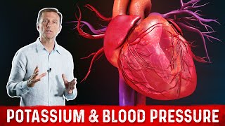 Insulin Resistance Potassium amp Blood Pressure – Dr Berg [upl. by Ephraim]