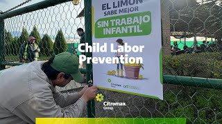 SCS for Child Labor Prevention [upl. by Aerdnek]