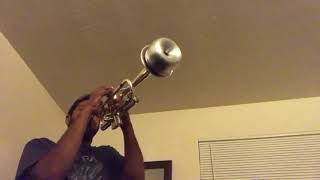 Smooth jazz trumpet with mute [upl. by Huberman41]