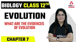 Class 12 Biology Chapter 7  Evolution  What are the Evidences of Evolution [upl. by Toll931]