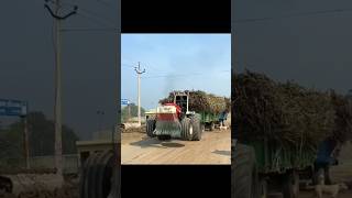 Nishu deshwal Swaraj tractor power in biggest trolley video youtubeshorts nishudashwal [upl. by Anattar311]