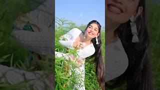 Gypsy 2  Mere Balam Ke Aage Chale Gypsy New Haryanvi Song 2024 New Haryanvi Song gypsy trending [upl. by Ritch]