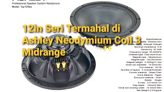 SPEAKER ASHLEY SERI TOP12NEO 12IN NEO COIL 3 HARGA TINGGI TP SANGAT BERKUALITAS [upl. by Maillliw]