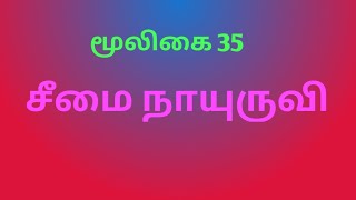 சீமை நாயுருவி  stachytarpheta cayennensis  அலசல் மூலிகை  Alasal Herbal [upl. by Catlee506]