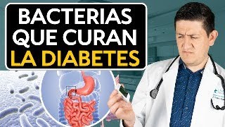 Clave para Revertir la Diabetes Microbiota Intestinal Dr Antonio Cota Sugar Care [upl. by Nawoj]