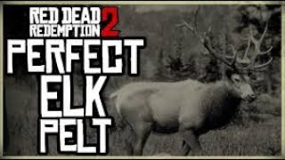 Red Dead Redemption 2  How To Get Perfect Elk Pelt [upl. by Adiari]