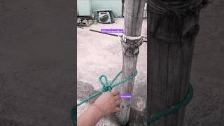 most useful vehicle trailer hitch knot [upl. by Ynnav]