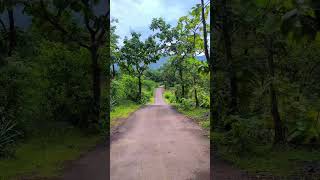 Nature RouteWay nature village 🏡 beautiful heart touching with song [upl. by Zoilla]