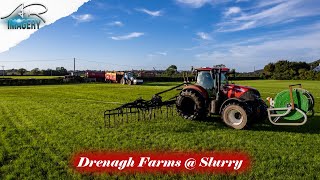 Drenagh Farms Umbilical Slurry [upl. by Eicyaj]