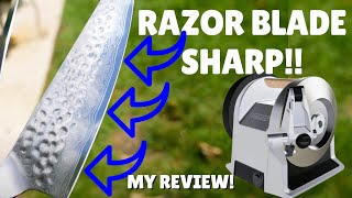 I May Never Have Another Dull Knife  Tormek T1 Kitchen Knife Sharpener  My Review [upl. by Merari]