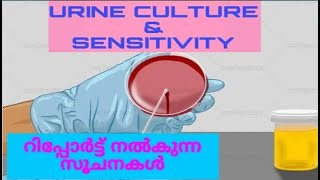 Urine Culture amp Sensitivity  Urine CampS Malayalam [upl. by Tessil895]