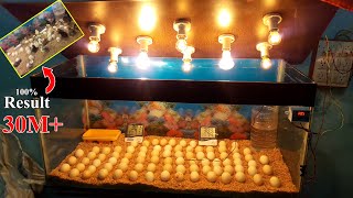 CHICKS HATCHING IN GLASS CONTAINER  BEST INCUBATOR FOR CHICKEN EGGS  DIY  YOU CAN DO THIS [upl. by Creath124]