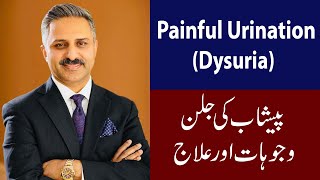 Painful Urination  Dysuria  Causes and Treatment [upl. by Bergess]