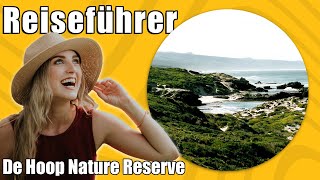 De Hoop Nature Reserve  Travel Tipps  Reiseführer Deutsch [upl. by Gobert]