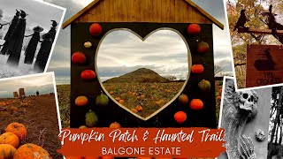 Halloween Haunted Trail amp Scotland’s Largest Pumpkin Patch  Balgone Estate  East Lothian [upl. by Binni343]