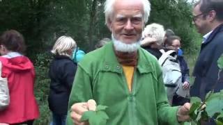 Wildkräuterwanderung mit Prof Dr Bernd Gerken bei Schweinfurt August 2015 [upl. by Yumuk]