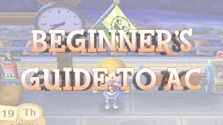 Beginners Guide to Animal Crossing New Leaf [upl. by Toh]