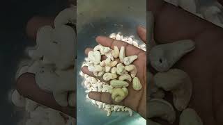 Cashew Nut W320  Available on IndiaMART [upl. by Shep]