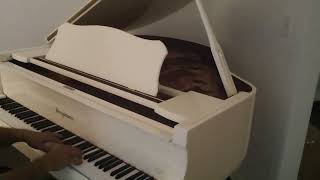 Gorgeous WHITE baby grand piano [upl. by Clemente525]