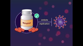 Oral Molnupiravir to Treat MildtoModerate Covid19  NEJM [upl. by Ayyn]