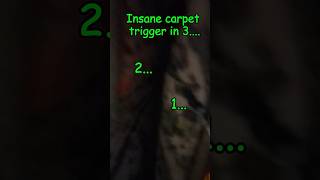 ASMR new carpet trigger Fast and aggressive scratching carpet over the camera [upl. by Secor]