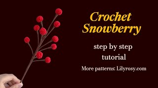 Crochet snowberry tutorial easy and fast beginner friendly [upl. by Amsden419]