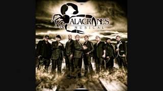 Alacranes Musical Corridos Mix [upl. by Canon971]