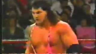 Steiner Brothers WWF Debut [upl. by Terryn75]